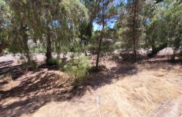 1448 Patricia Ave #204, Simi Valley, CA 93065