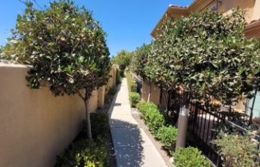 1448 Patricia Ave #204, Simi Valley, CA 93065