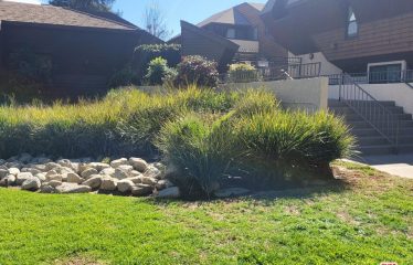 15050 Sherman Way #139, Van Nuys, CA 91405 Cross St.: Sepulveda Bivd